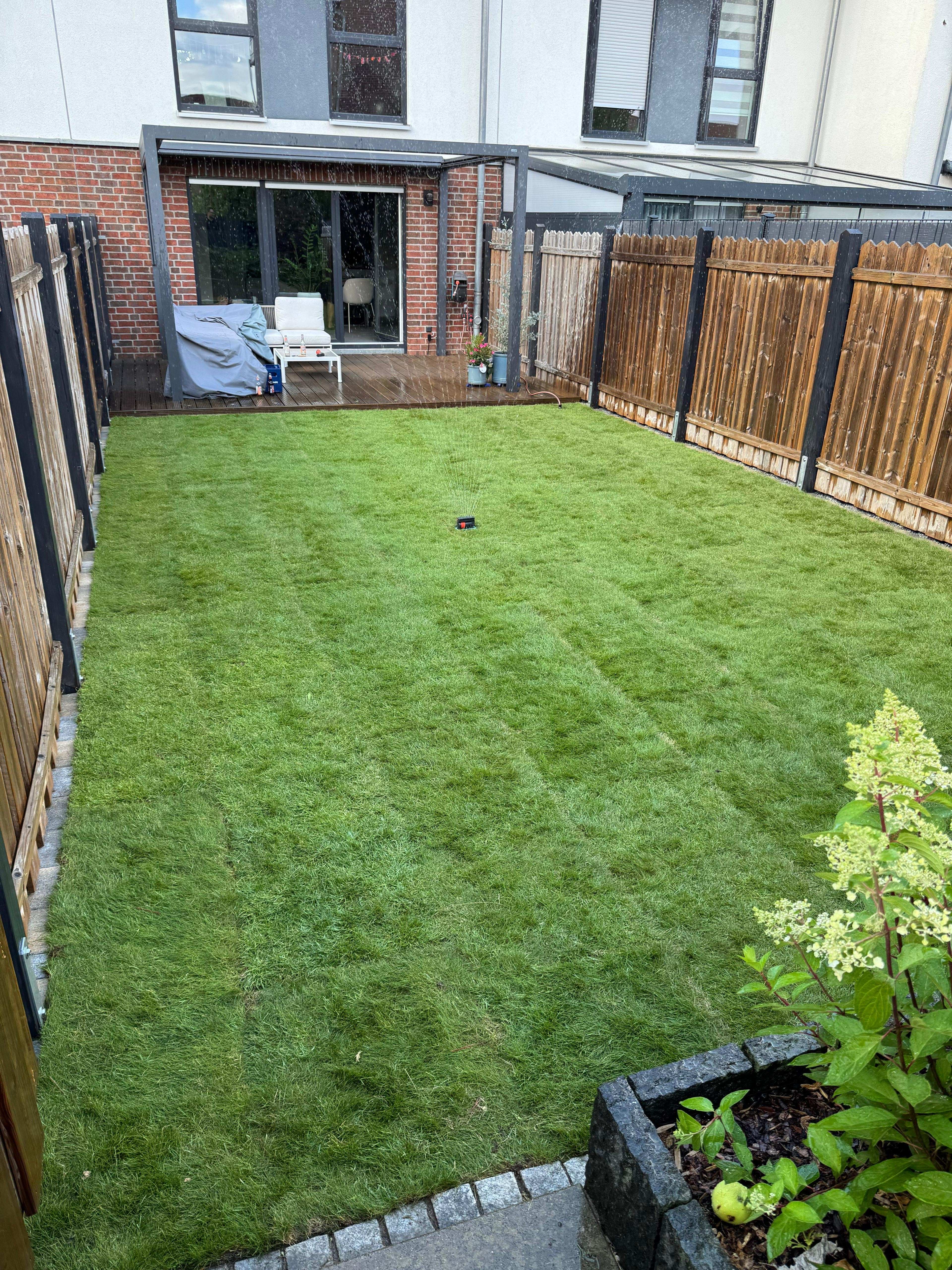 Perfekt gemähter Rasen nach Neuanlage in Garbsen