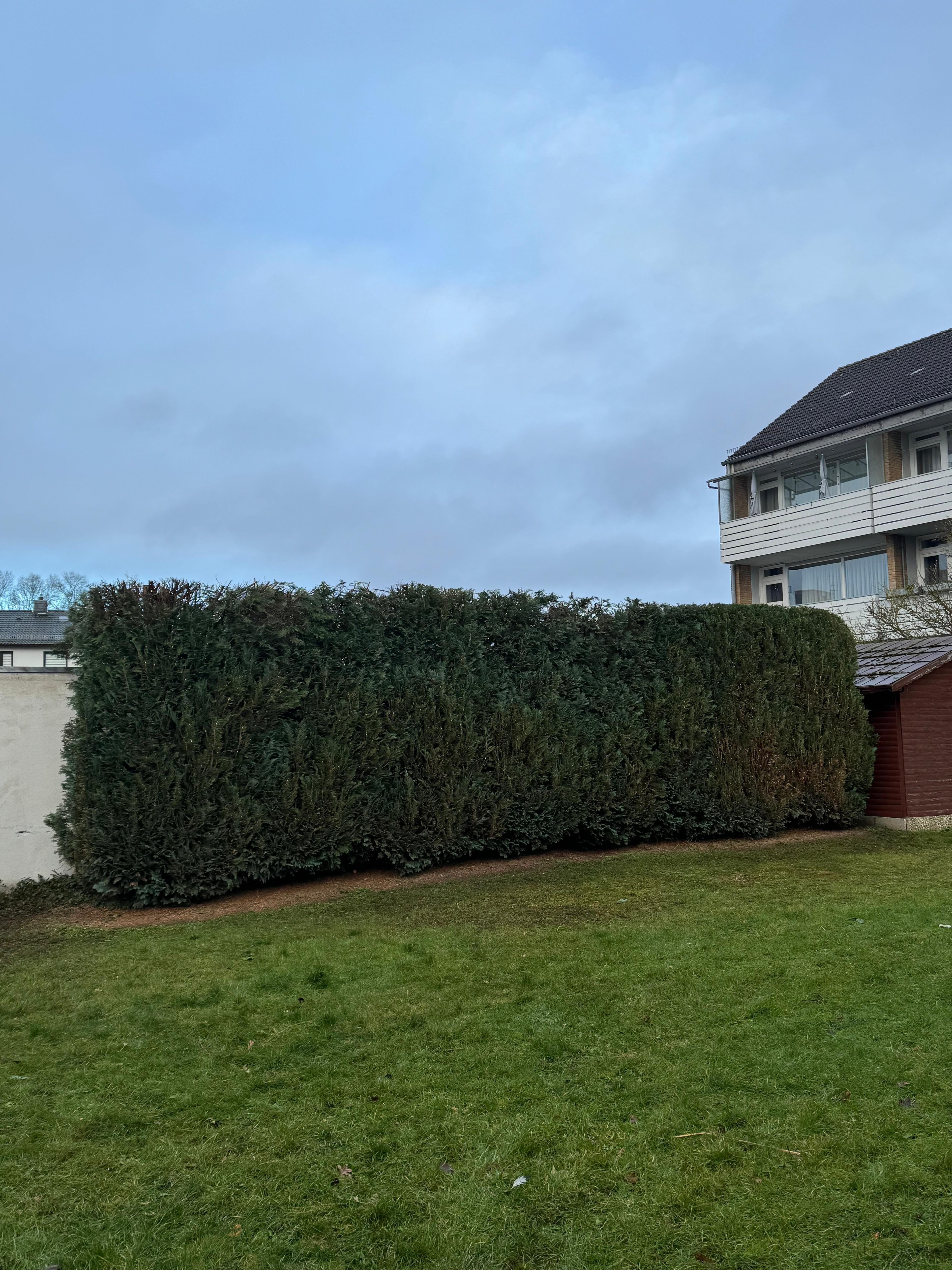 Professioneller Heckenschnitt und Gartenpflege in Garbsen - AV Gartenbau